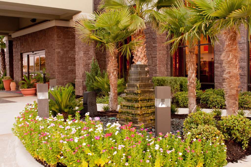 Hampton Inn & Suites Shreveport Eksteriør billede